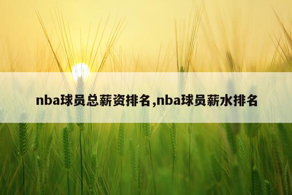 nba球员总薪资排名,nba球员薪水排名