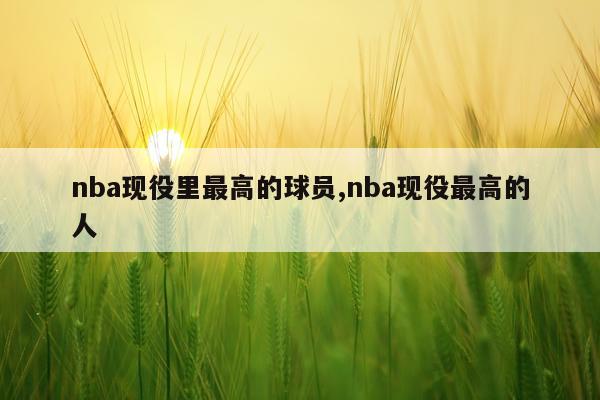 nba现役里最高的球员,nba现役最高的人