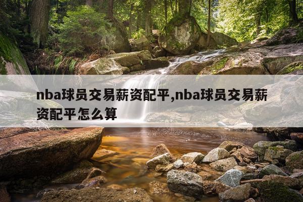 nba球员交易薪资配平,nba球员交易薪资配平怎么算