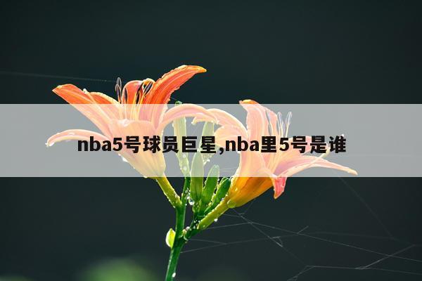 nba5号球员巨星,nba里5号是谁