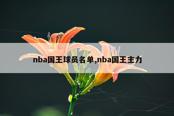 nba国王球员名单,nba国王主力