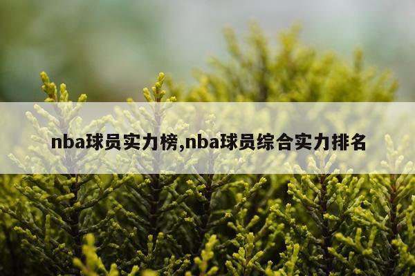 nba球员实力榜,nba球员综合实力排名