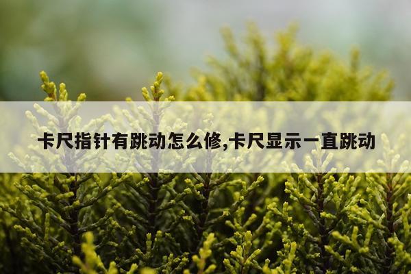 卡尺指针有跳动怎么修,卡尺显示一直跳动