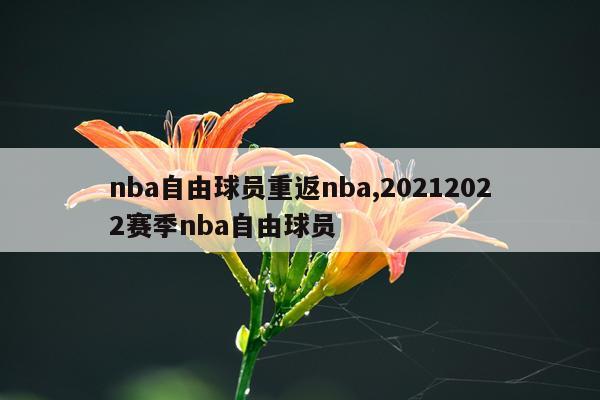 nba自由球员重返nba,20212022赛季nba自由球员