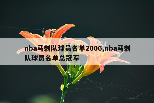 nba马刺队球员名单2006,nba马刺队球员名单总冠军