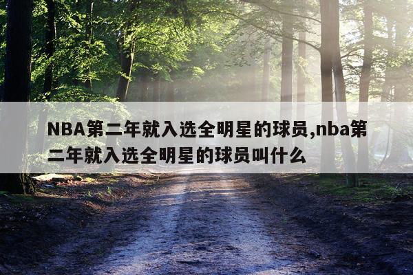 NBA第二年就入选全明星的球员,nba第二年就入选全明星的球员叫什么