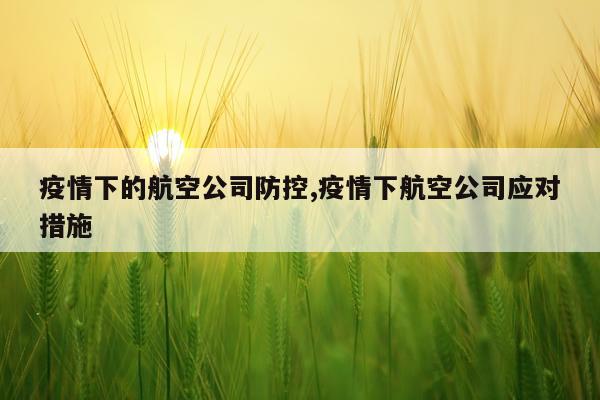 疫情下的航空公司防控,疫情下航空公司应对措施