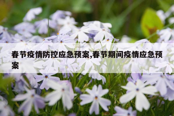 春节疫情防控应急预案,春节期间疫情应急预案
