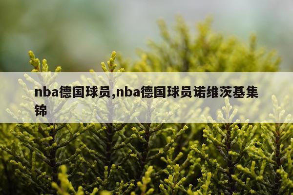 nba德国球员,nba德国球员诺维茨基集锦