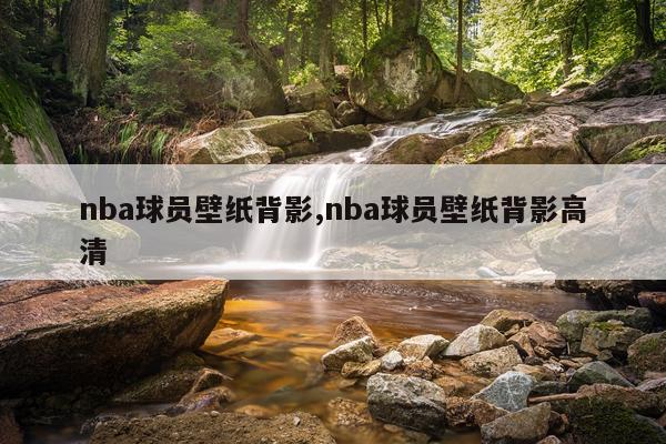 nba球员壁纸背影,nba球员壁纸背影高清