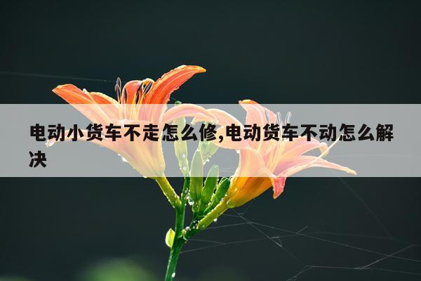 电动小货车不走怎么修,电动货车不动怎么解决