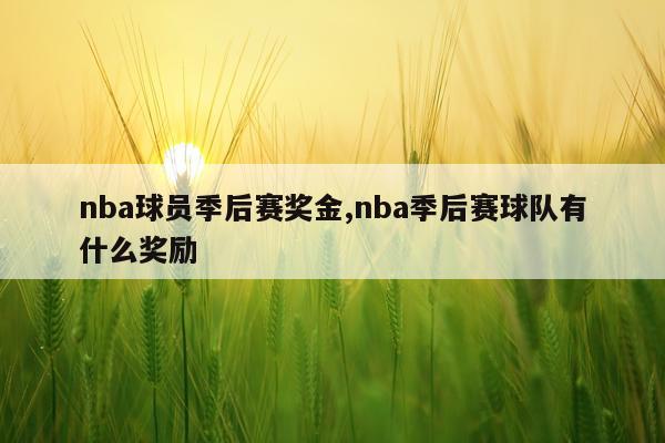 nba球员季后赛奖金,nba季后赛球队有什么奖励
