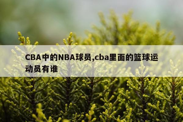 CBA中的NBA球员,cba里面的篮球运动员有谁