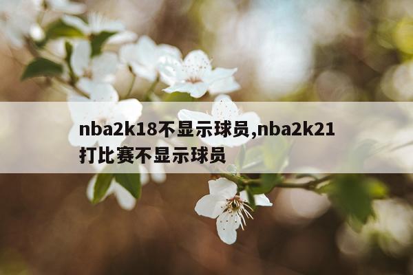 nba2k18不显示球员,nba2k21打比赛不显示球员