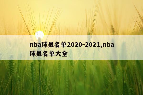 nba球员名单2020-2021,nba球员名单大全