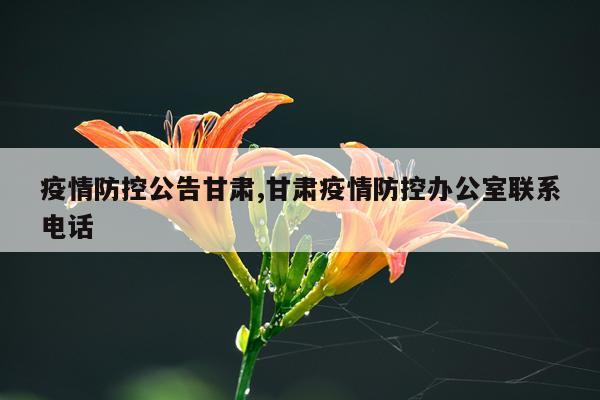 疫情防控公告甘肃,甘肃疫情防控办公室联系电话