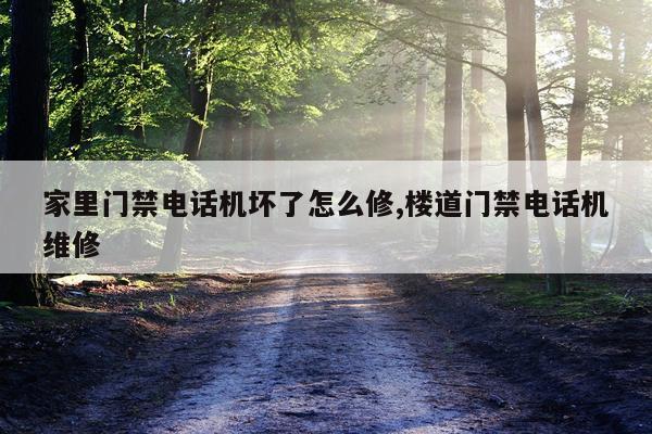 家里门禁电话机坏了怎么修,楼道门禁电话机维修