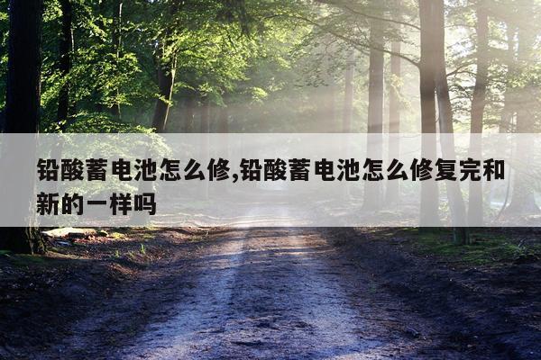 铅酸蓄电池怎么修,铅酸蓄电池怎么修复完和新的一样吗