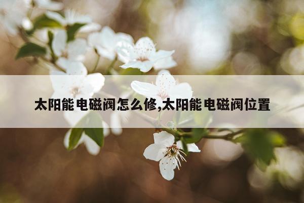 太阳能电磁阀怎么修,太阳能电磁阀位置