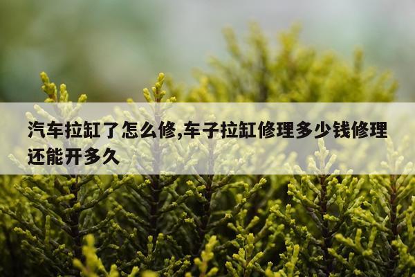 汽车拉缸了怎么修,车子拉缸修理多少钱修理还能开多久