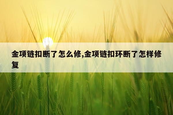 金项链扣断了怎么修,金项链扣环断了怎样修复