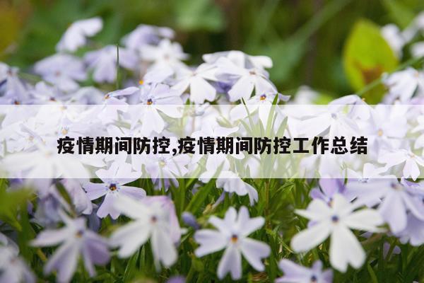 疫情期间防控,疫情期间防控工作总结