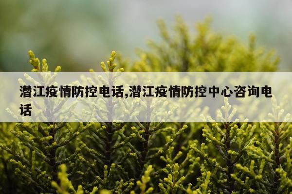 潜江疫情防控电话,潜江疫情防控中心咨询电话