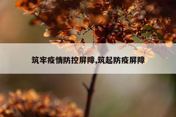 筑牢疫情防控屏障,筑起防疫屏障