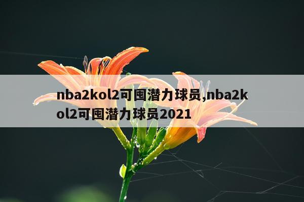nba2kol2可囤潜力球员,nba2kol2可囤潜力球员2021