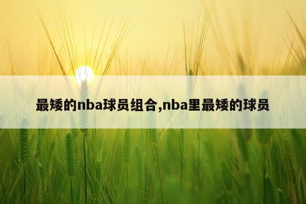 最矮的nba球员组合,nba里最矮的球员