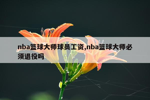 nba篮球大师球员工资,nba篮球大师必须退役吗