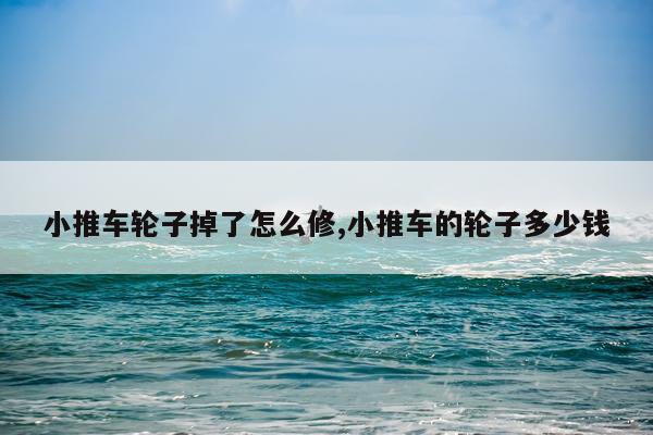 小推车轮子掉了怎么修,小推车的轮子多少钱