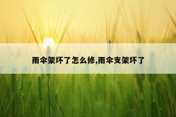 雨伞架坏了怎么修,雨伞支架坏了