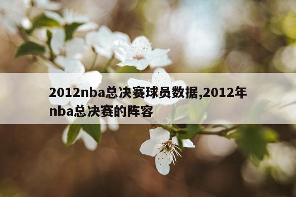 2012nba总决赛球员数据,2012年nba总决赛的阵容