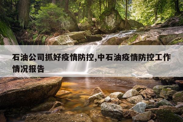 石油公司抓好疫情防控,中石油疫情防控工作情况报告