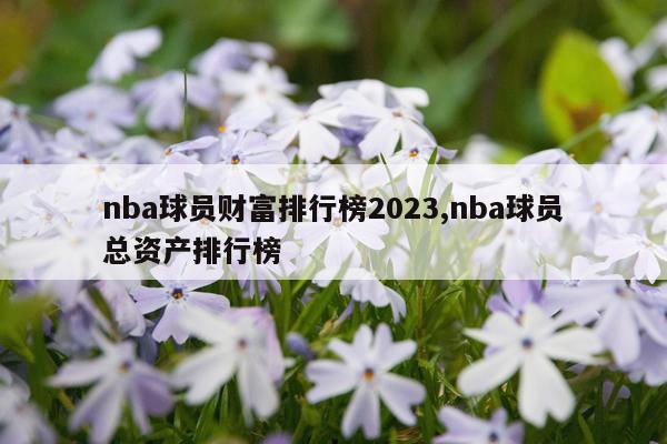 nba球员财富排行榜2023,nba球员总资产排行榜