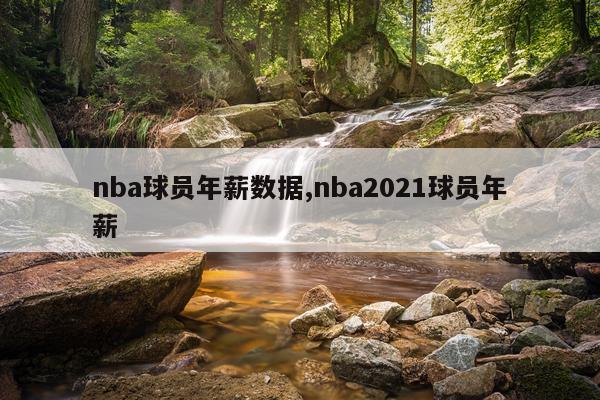 nba球员年薪数据,nba2021球员年薪