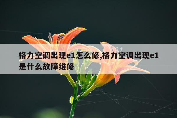 格力空调出现e1怎么修,格力空调出现e1是什么故障维修