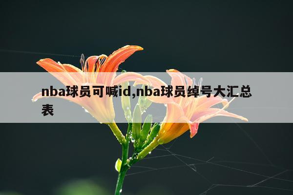 nba球员可喊id,nba球员绰号大汇总表