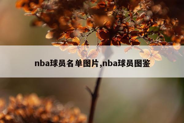 nba球员名单图片,nba球员图鉴
