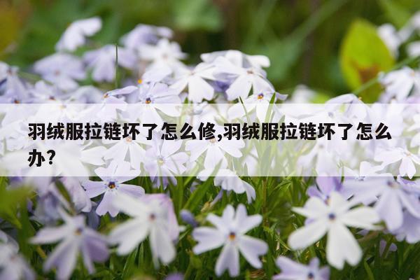 羽绒服拉链坏了怎么修,羽绒服拉链坏了怎么办?