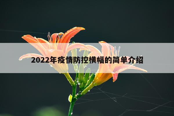 2022年疫情防控横幅的简单介绍