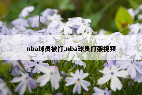 nba球员被打,nba球员打架视频