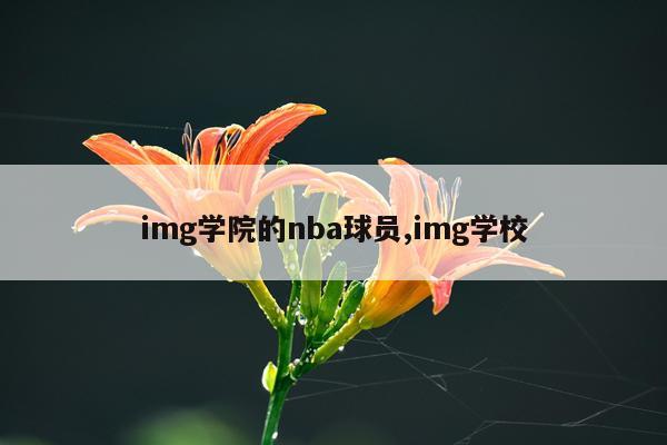 img学院的nba球员,img学校