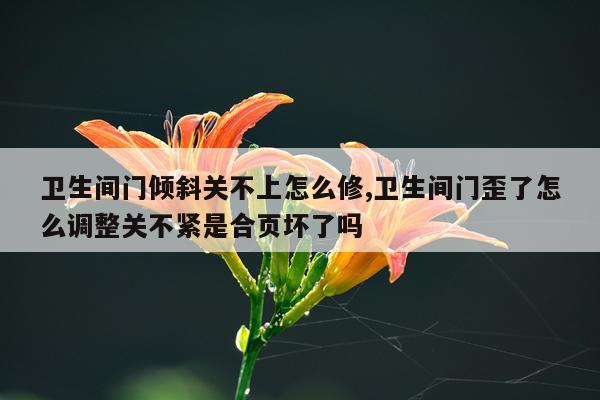卫生间门倾斜关不上怎么修,卫生间门歪了怎么调整关不紧是合页坏了吗
