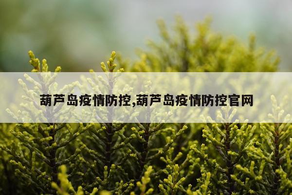 葫芦岛疫情防控,葫芦岛疫情防控官网