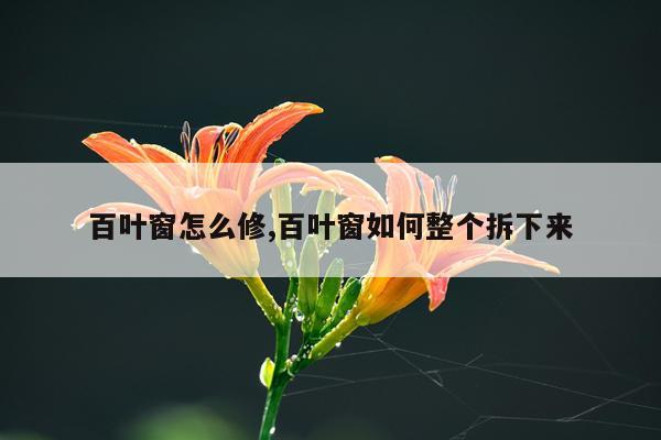 百叶窗怎么修,百叶窗如何整个拆下来
