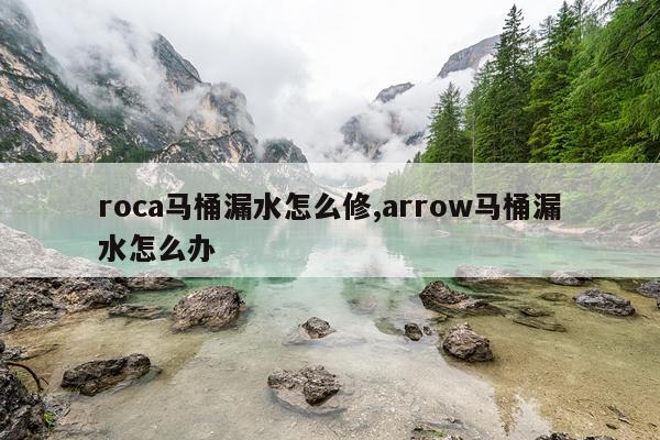 roca马桶漏水怎么修,arrow马桶漏水怎么办