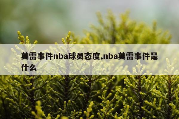 莫雷事件nba球员态度,nba莫雷事件是什么