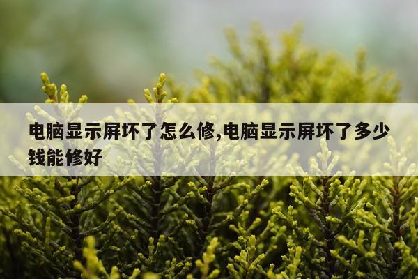 电脑显示屏坏了怎么修,电脑显示屏坏了多少钱能修好